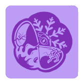 Crest Crest