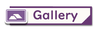 Gallery Gallery